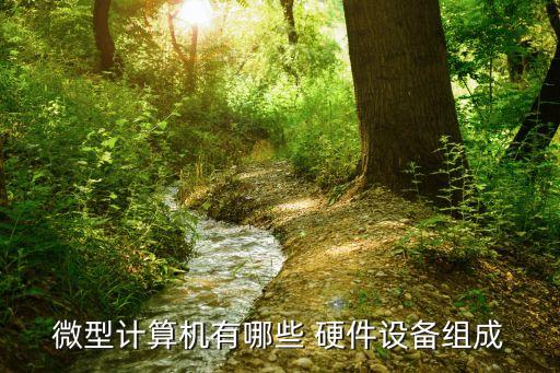 微型计算机有哪些 硬件设备组成
