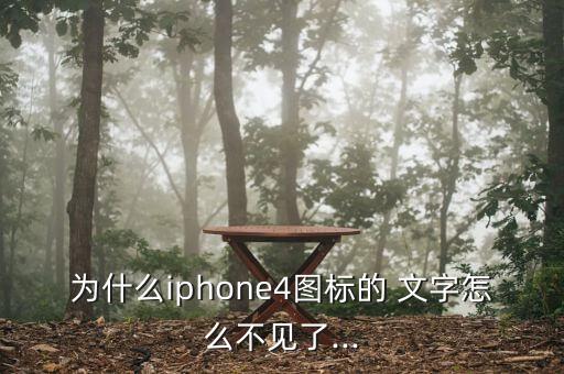 为什么iphone4图标的 文字怎么不见了...