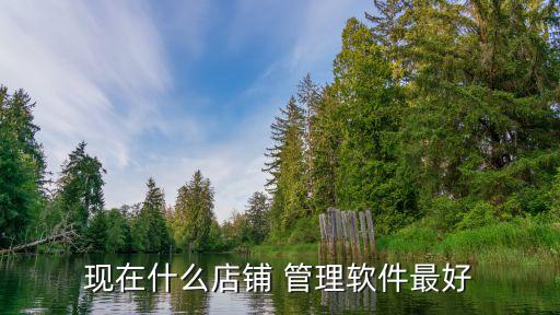 现在什么店铺 管理软件最好