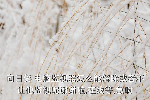向日葵 电脑监视器怎么能解除或者不让他监视呢谢谢啦,在线等,急啊