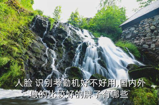  人脸 识别考勤机好不好用,国内外做的比较好的牌子有哪些