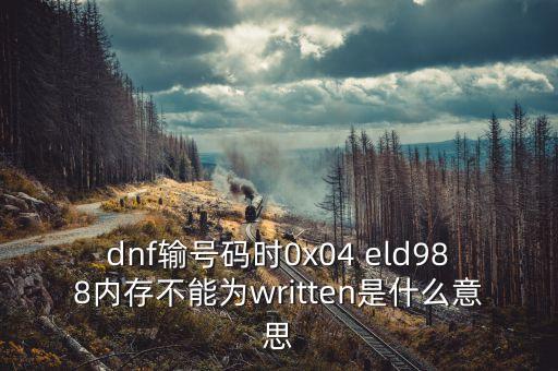 dnf输号码时0x04 eld988内存不能为written是什么意思