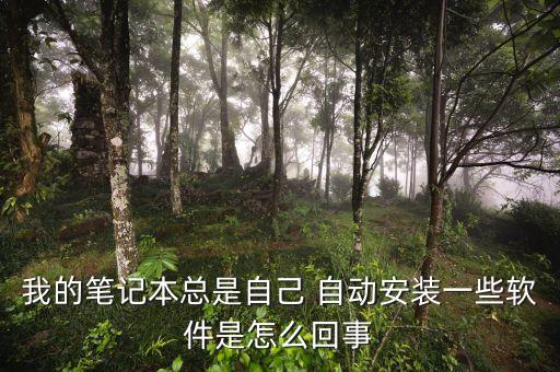 我的笔记本总是自己 自动安装一些软件是怎么回事