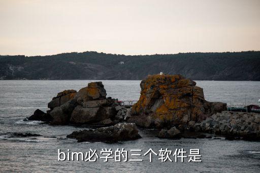 bim必学的三个软件是