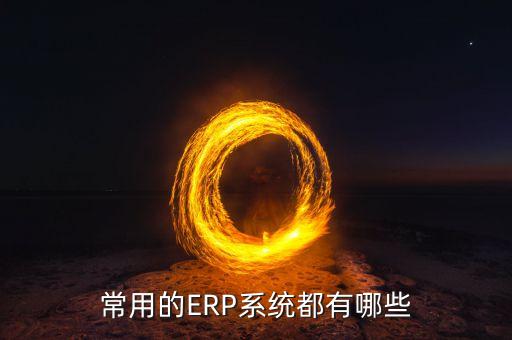 erp系统软件代码,收费系统软件代码