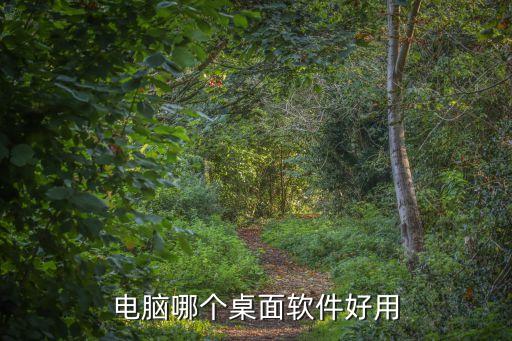 电脑哪个桌面软件好用
