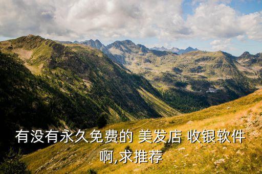 有没有永久免费的 美发店 收银软件啊,求推荐
