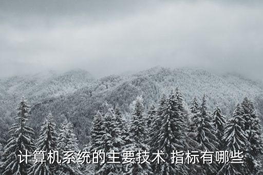 计算机系统的主要技术 指标有哪些