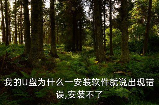 系统u盘装不了系统软件,u盘怎么装linux系统软件