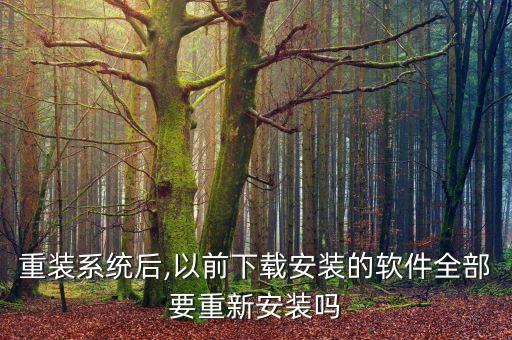 重装系统后,以前下载安装的软件全部要重新安装吗