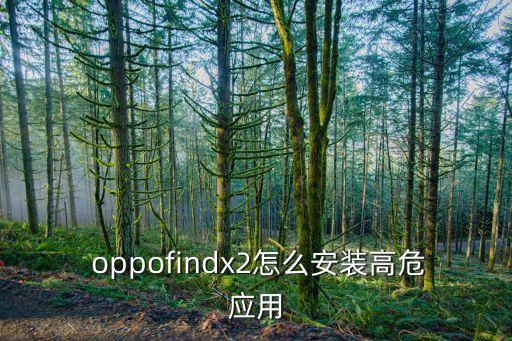  oppofindx2怎么安装高危应用