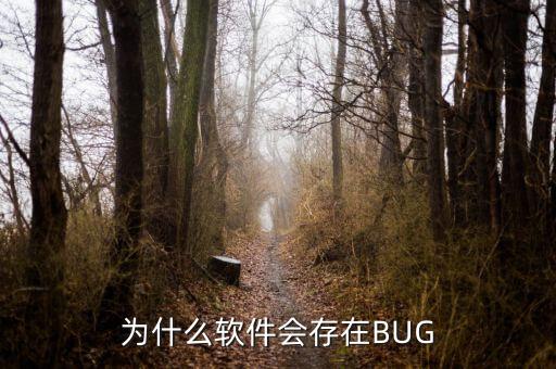 为什么软件会存在BUG