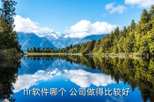 人事工资系统软件公司