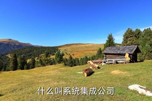 什么叫系统集成公司