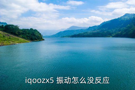 iqoozx5 振动怎么没反应