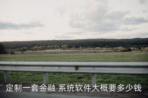 定制一套金融 系统软件大概要多少钱