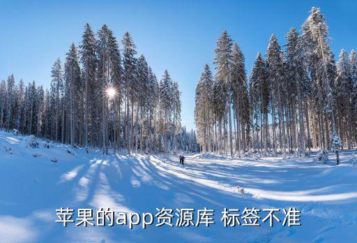 苹果的app资源库 标签不准