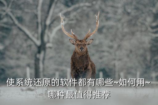 使系统还原的软件都有哪些~如何用~哪种最值得推荐