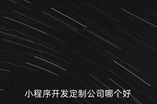 小程序开发定制公司哪个好