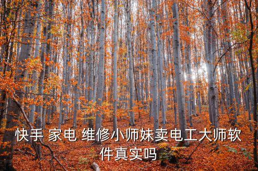自制家电维修管理系统软件,开汽修店要用什么管理软件?