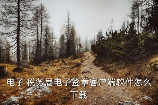 国家税务系统软件,浙江省电子税务开票系统软件