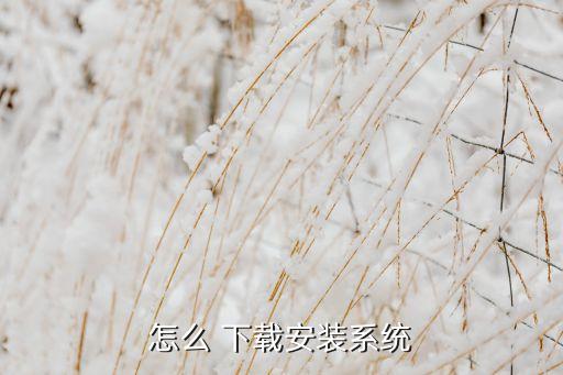 怎么 下载安装系统