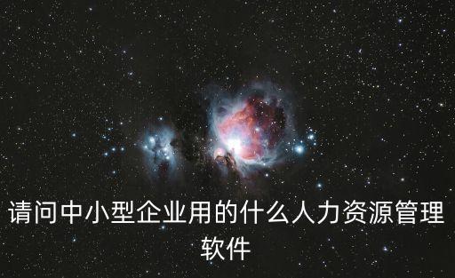 请问中小型企业用的什么人力资源管理软件