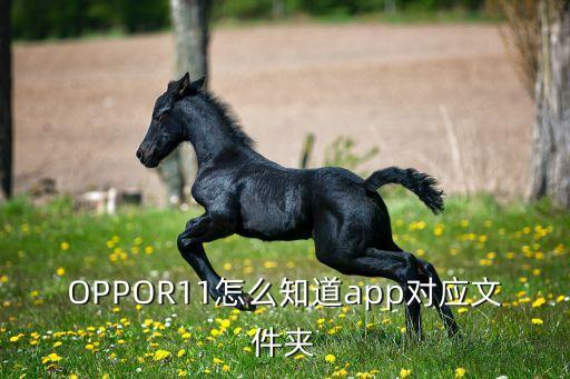 OPPOR11怎么知道app对应文件夹