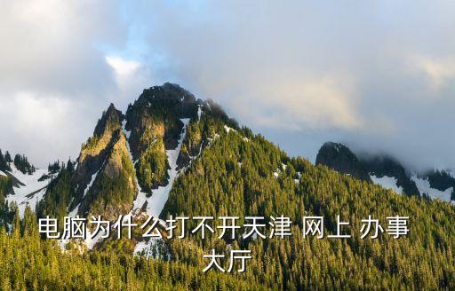 电脑为什么打不开天津 网上 办事 大厅