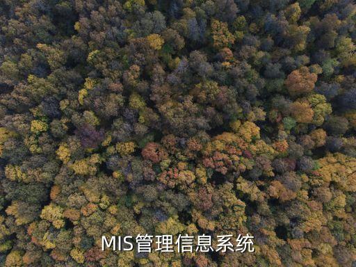mis  是系统软件吗