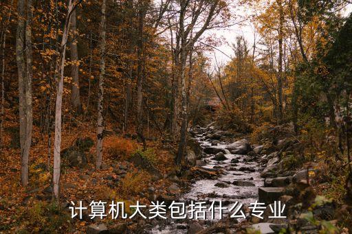 计算机系统软件方向,属于计算机系统软件的有哪些
