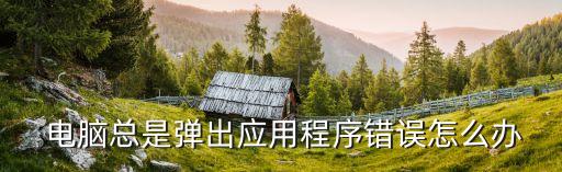  电脑总是弹出应用程序错误怎么办