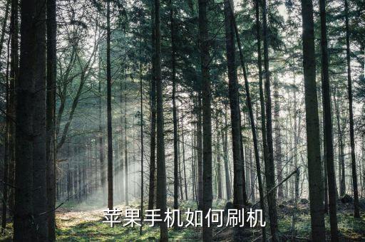  苹果手机如何刷机