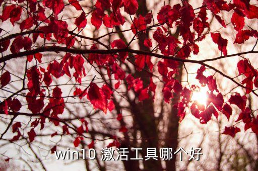 哪个重装系统软件激活,电脑一键重装系统软件哪个好