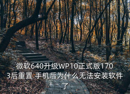 手机wp10系统软件