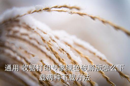 通用 收据打印专家绿色破解版怎么下载两种下载方法
