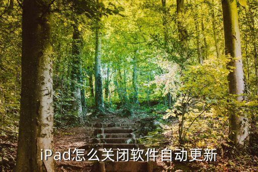 怎么删除ipad的升级系统软件,ipad升级系统软件会没有吗