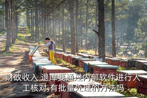 财政收入 退库要通过内部软件进行人工核对,有批量处理的方法吗