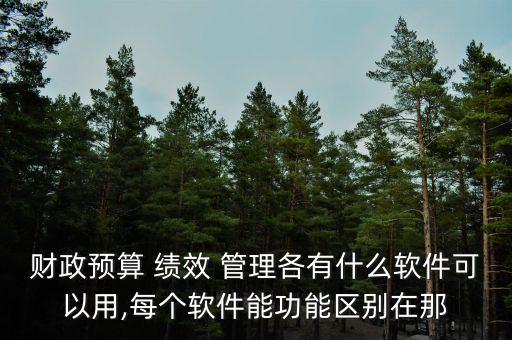 财政预算 绩效 管理各有什么软件可以用,每个软件能功能区别在那