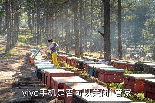 vivo手机是否可以关闭i 管家