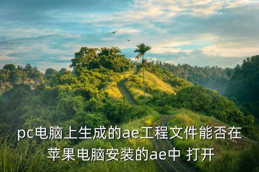 pc电脑上生成的ae工程文件能否在 苹果电脑安装的ae中 打开