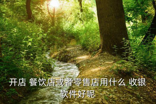 开店 餐饮店或者零售店用什么 收银软件好呢