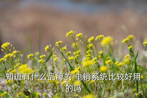 知道有什么品牌的 电销系统比较好用的吗