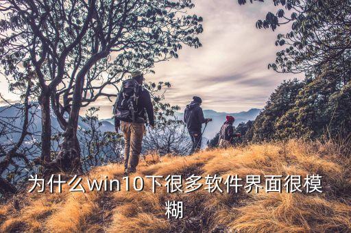 电脑系统软件不清晰,电脑做系统软件排行榜