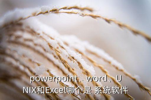 powerpoint、word、UNIX和Excel哪个是 系统软件