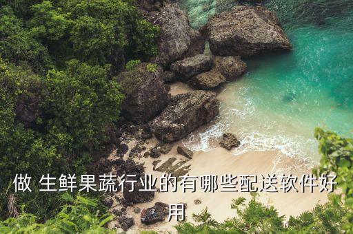 做 生鲜果蔬行业的有哪些配送软件好用
