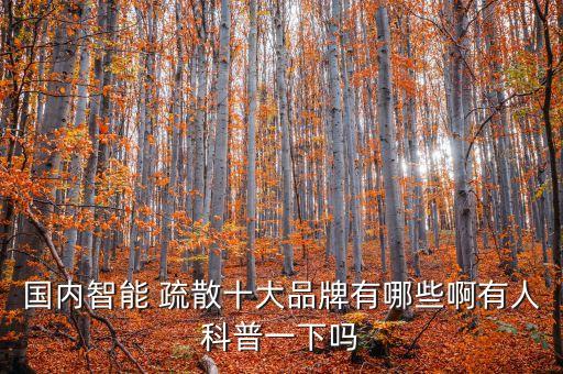 国内智能 疏散十大品牌有哪些啊有人科普一下吗