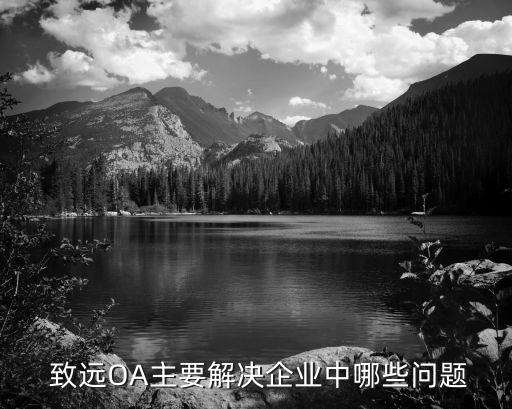 致远oa系统软件,办公自动化oa系统软件