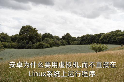  安卓为什么要用虚拟机,而不直接在Linux系统上运行程序