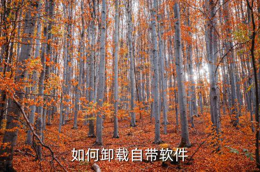 如何卸载自带软件